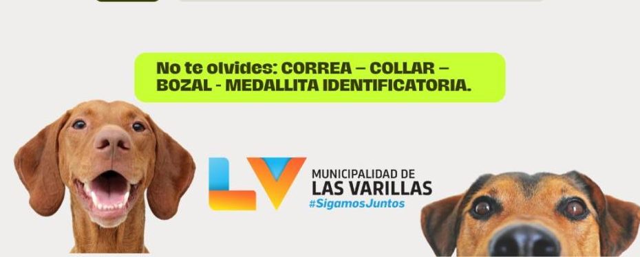Vacunación antirrábica en Las Varillas. Barrios de Las Varillas, perros y gatos. Vacunación Anual. Municipalidad Las Varillas